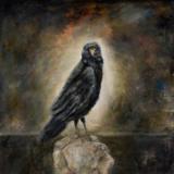 Of Crows and Man