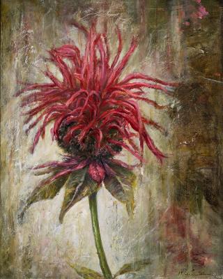 Bad Hair Day (AKA Bee Balm) Bad Hair Day (AKA Bee Balm)