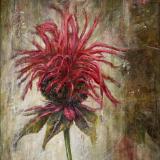 Bee Balm (AKA Bad Hair Day)