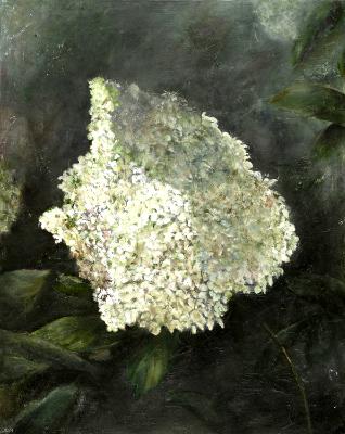 Strawberry Vanilla Strawberry Vanilla